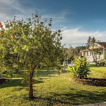 Casa de Férias 5 Bedroom Unique Ionian House
